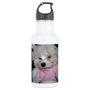 Bouteille D'eau En Acier Inoxydable Thème fait sur commande de photo d'animal familie