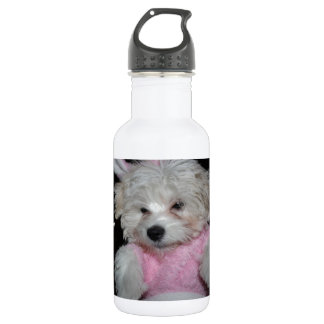 Bouteille D'eau En Acier Inoxydable Thème fait sur commande de photo d'animal familier