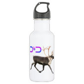 Bouteille D'eau En Acier Inoxydable Tuktu - Caribou (Devant)