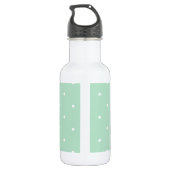 Bouteille D'eau En Acier Inoxydable Typographie et points | Mint Green Goal Getter (Dos)