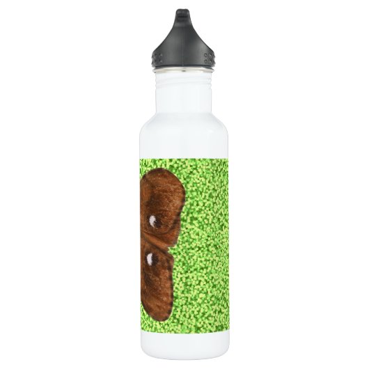 Bouteille D'eau En Acier Inoxydable Vapourer Moth (Droite)