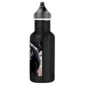 Bouteille D'eau En Acier Inoxydable Vieux chimpanzé (Droite)