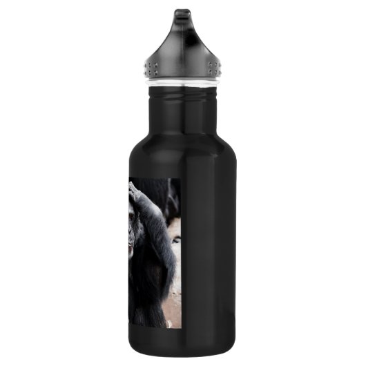 Bouteille D'eau En Acier Inoxydable Vieux chimpanzé (Droite)