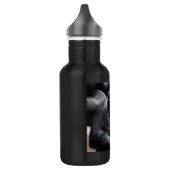 Bouteille D'eau En Acier Inoxydable Vieux chimpanzé (Gauche)