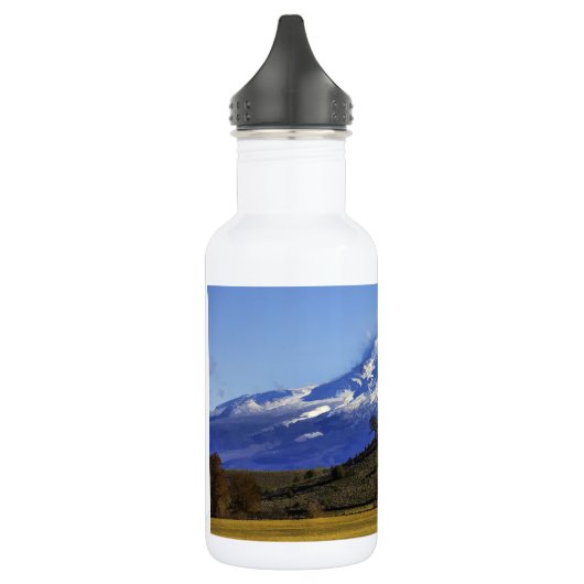 BOUTEILLE D'EAU EN ACIER INOXYDABLE VUE DE SHASTA (Gauche)