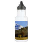 BOUTEILLE D'EAU EN ACIER INOXYDABLE VUE DE SHASTA (Droite)