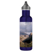 BOUTEILLE D'EAU EN ACIER INOXYDABLE VUES DES ALLES (Droite)