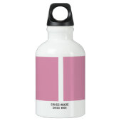 Bouteille D'eau En Aluminium SIGG Traveller (0.3L) (Dos)