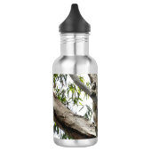 Bouteille D'eau Étiquettes Cadeaux Koala - Dormant (Gauche)