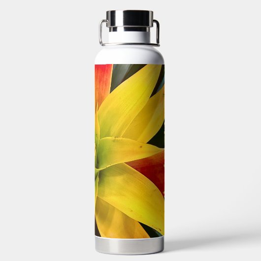 Bouteille D'eau Étoile explosive (Plage)