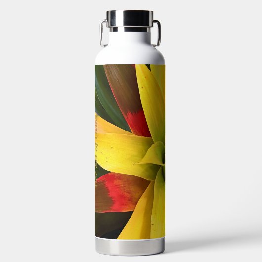 Bouteille D'eau Étoile explosive (Avant)