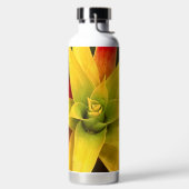 Bouteille D'eau Étoile explosive (Droite)