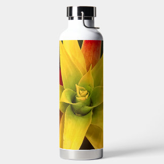 Bouteille D'eau Étoile explosive