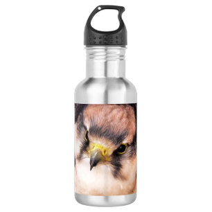 BOUTEILLE D'EAU FALCON