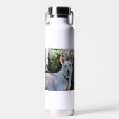 Bouteille D'eau Fantôme (Avant)