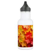 Bouteille D'eau Feuilles d'automne (Droite)