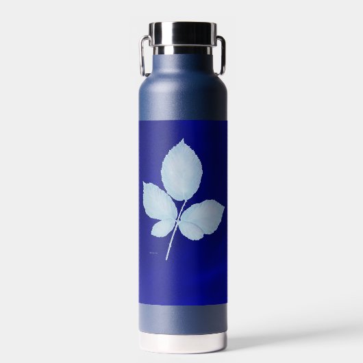 Bouteille D'eau Feuilles de brique d'impression Cyano (Avant)