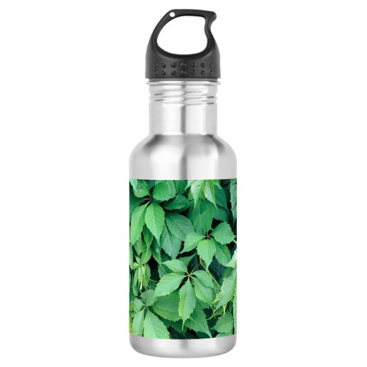 Bouteille D'eau Feuilles de raisins verts (Devant)