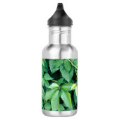 Bouteille D'eau Feuilles de raisins verts (Droite)