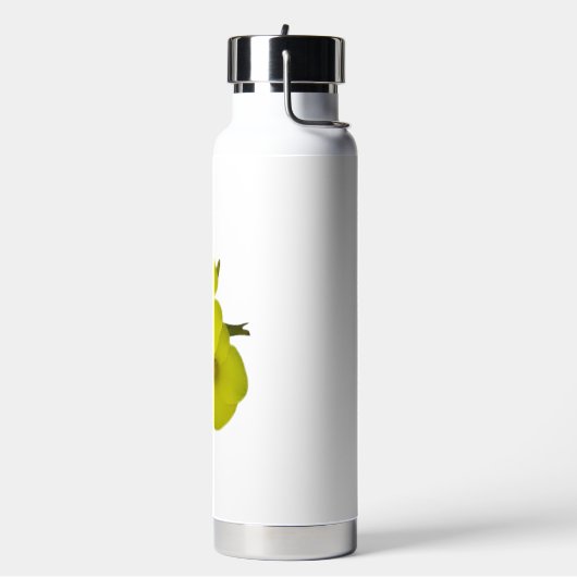 BOUTEILLE D'EAU FLASK INSULATÉE THOR ART&DESIGN (Gym)