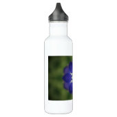 Bouteille D'eau Fleur intérieure Bluebonnet (Gauche)