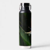 Bouteille D'eau Flower tropical orange paradise (Avant)