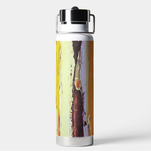 Bouteille D'eau Flux Abstraits peints (Arrière)