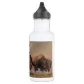 Bouteille D'eau Fonctionnement avec Buffalo (Droite)