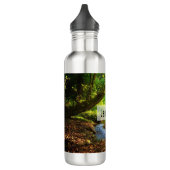 Bouteille D'eau Forest Creek Belle nature Paysage Photo (Gauche)