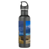 Bouteille D'eau Fumer Bush dans Joshua Tree (Dos)