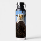 Bouteille D'eau Funny Bald Eagle Visage Faune Photographie (Arrière)