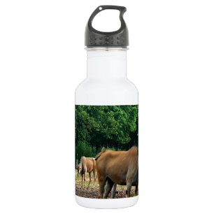 Bouteille D'eau Gazelle, zoo d'animaux sauvages, 羚.