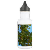 Bouteille D'eau Geai de Steller dans le chêne (Gauche)