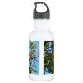 Bouteille D'eau Geai de Steller dans le chêne (Dos)