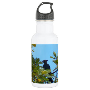 Bouteille D'eau Geai de Steller dans le chêne