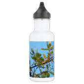 Bouteille D'eau Geai de Steller dans le chêne (Droite)