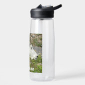 Bouteille D'eau Glacier National Park Mountain Chèvre Photo (Gauche)