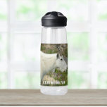 Bouteille D'eau Glacier National Park Mountain Chèvre Photo<br><div class="desc">Restez trempés partout où vous allez avec cette bouteille d'eau en plastique claire qui présente l'image d'une chèvre sauvage de montagne dans le parc national des Glaciers au Montana. Sélectionnez la taille et la couleur de votre bouteille d'eau. REMARQUE : Conception non optimisée pour le style de bouteille d'eau de...</div>