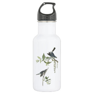 Bouteille D'eau Gnatcatcher gris-bleu par Audubon