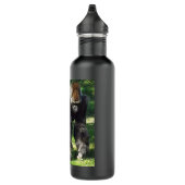 Bouteille D'eau Gorille masculin de plaine de Silverback se levant (Droite)