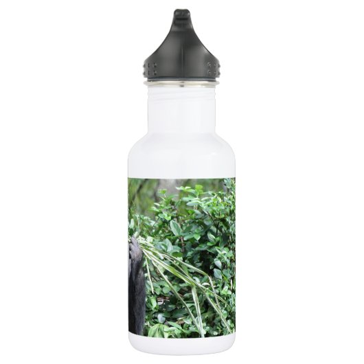 Bouteille D'eau gorilles de silverback (Droite)