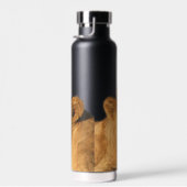 Bouteille D'eau Gourde Lion Pair, 22 oz. (Plage)