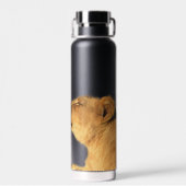 Bouteille D'eau Gourde Lion Pair, 22 oz. (Arrière)