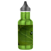 Bouteille D'eau goutte ! (Gauche)