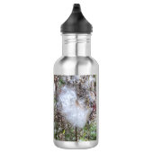 Bouteille D'eau Graines et soie d'algues (Droite)