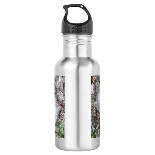 Bouteille D'eau Graines et soie d'algues (Dos)