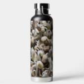 Bouteille D'eau Graisses Bio - Un Superaliment Emballé De Nutrimen (Droite)