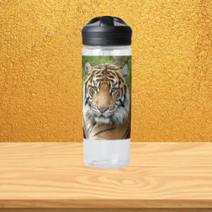 Bouteille D'eau Grand Chat Tigre de Sumatra Photo