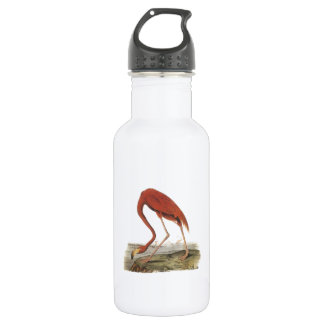 Bouteille D'eau Grand Flamant rose par Audubon