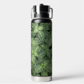 Bouteille D'eau Green Nerve Plante Feuille Floral (Arrière)